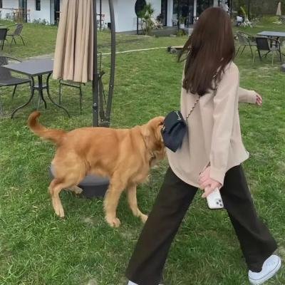 安静的生活